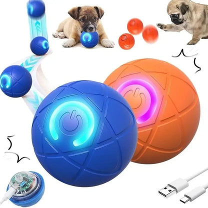 2026 Hot Sale 🐶🐱 Interactive Shaky Ball Toy for Dogs & Cats