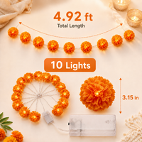 5 FT / 10 LEDs