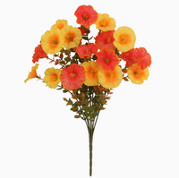 Autumn Oranges Turn Yellow