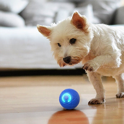 2026 Hot Sale 🐶🐱 Interactive Shaky Ball Toy for Dogs & Cats