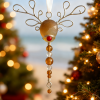 Reindeer