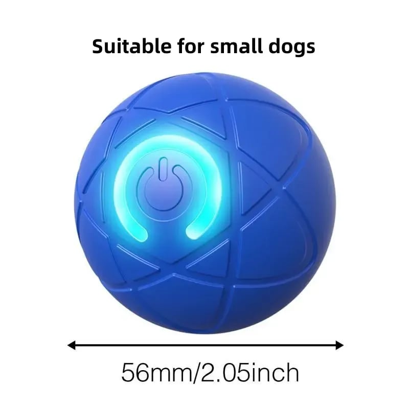 2026 Hot Sale 🐶🐱 Interactive Shaky Ball Toy for Dogs & Cats