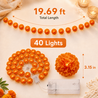 20 FT / 40 LEDs (Best Value)