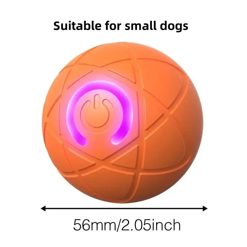 2026 Hot Sale 🐶🐱 Interactive Shaky Ball Toy for Dogs & Cats