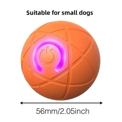 2026 Hot Sale 🐶🐱 Interactive Shaky Ball Toy for Dogs & Cats