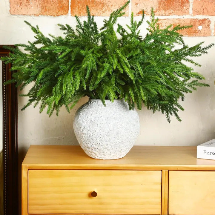 🔥Last Day 70% OFF🔥The Best Holiday Greenery - Realistic Norfolk Pine Stems