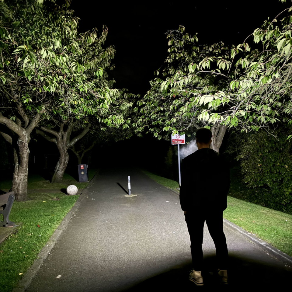 LumiLuxLight™ LED Headtorch