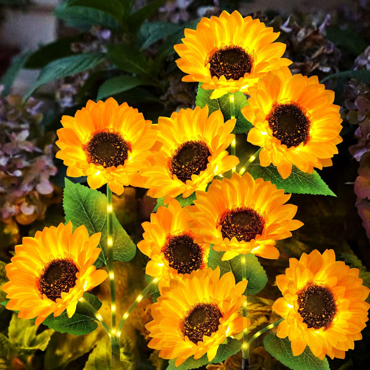 Grouped sunflower lights with glowing stems
