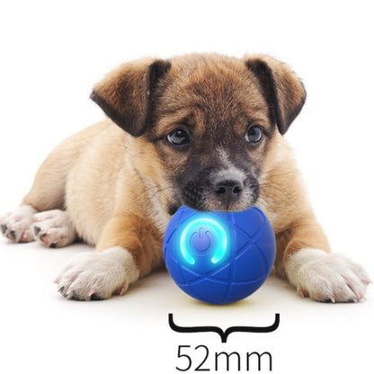 2026 Hot Sale 🐶🐱 Interactive Shaky Ball Toy for Dogs & Cats