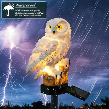 🎁  Last Day 50% OFF 🔥 Waterproof Solar Owl Light