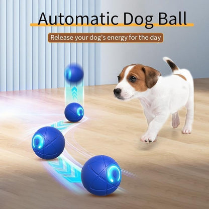 2026 Hot Sale 🐶🐱 Interactive Shaky Ball Toy for Dogs & Cats