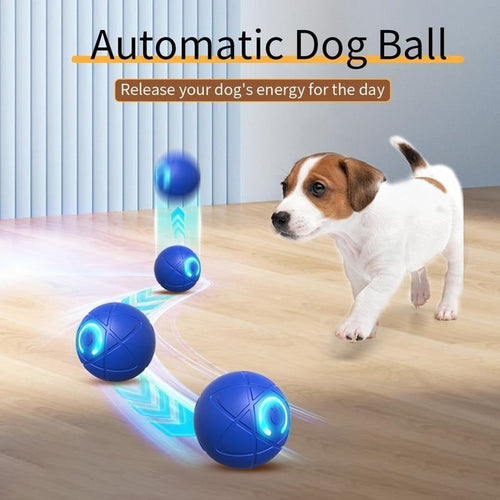 2026 Hot Sale 🐶🐱 Interactive Shaky Ball Toy for Dogs & Cats