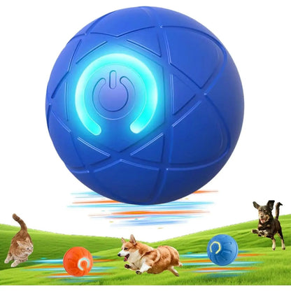 2026 Hot Sale 🐶🐱 Interactive Shaky Ball Toy for Dogs & Cats