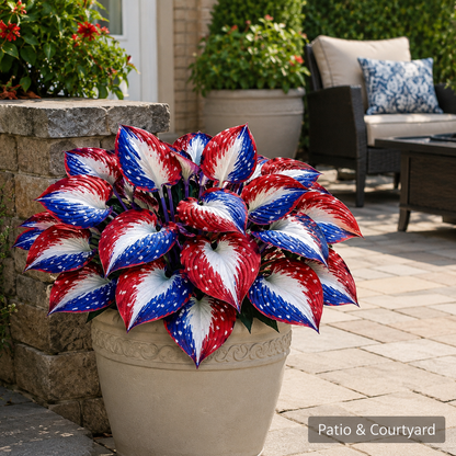 🔥Last Day 60% OFF🔥UV Resistant Artificial Independence Day Hosta Flowers🇺🇸