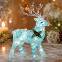 🦌Sparkle Reindeer